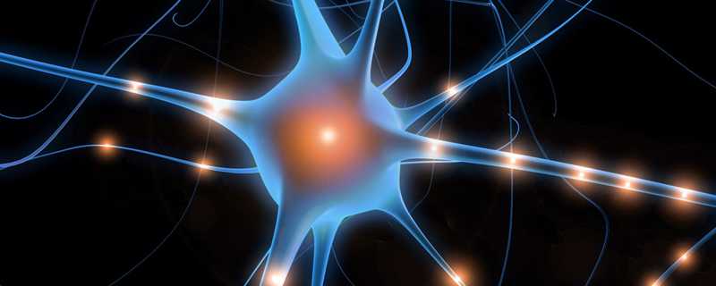plasticidade cerebral